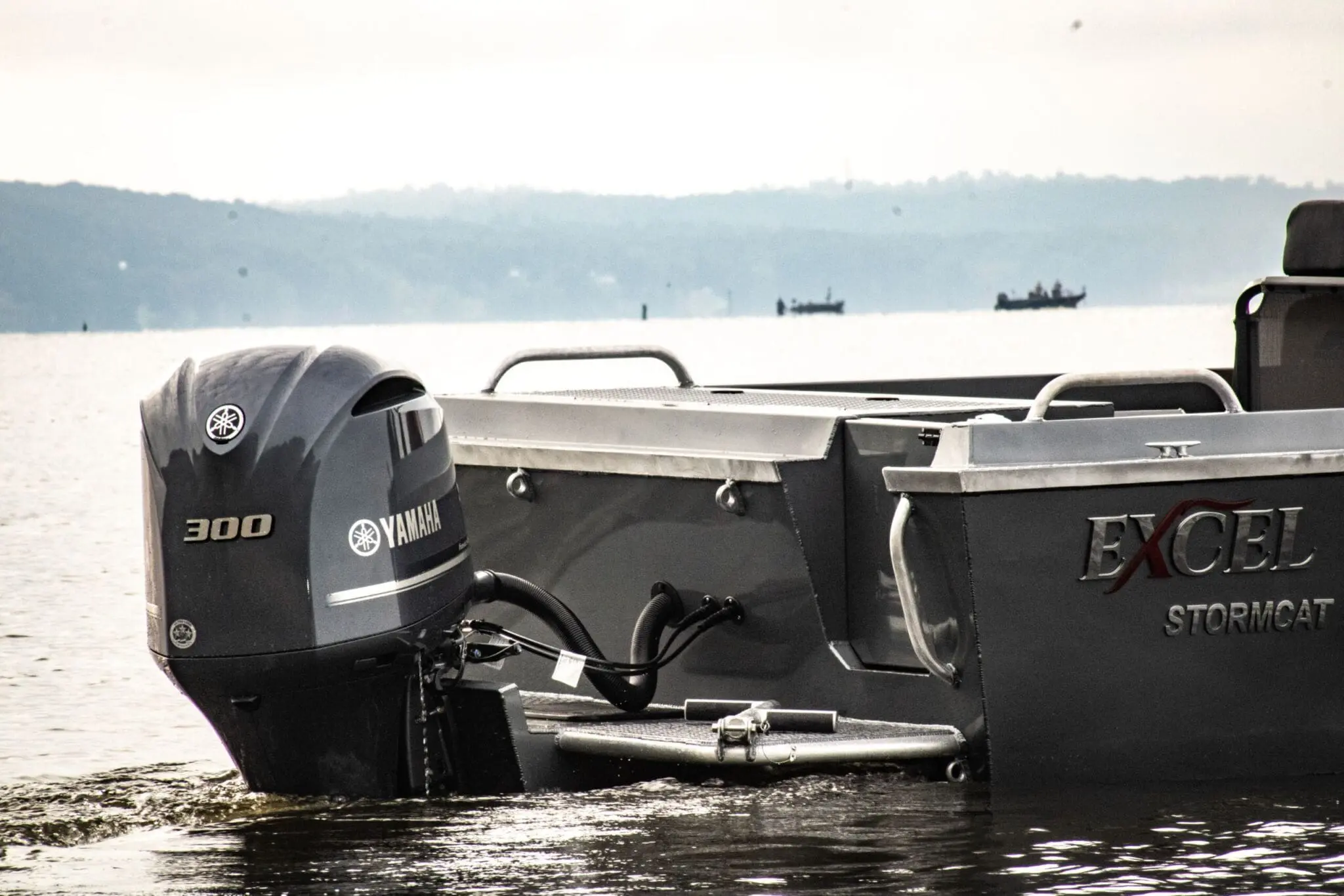 Stormcat new 2 scaled