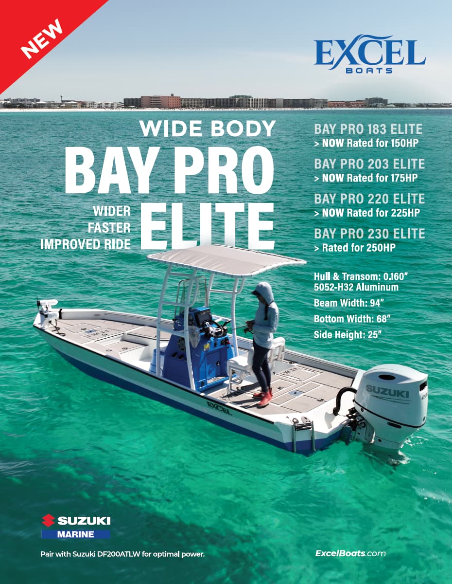 Excel Bay Pro 220 Flyer